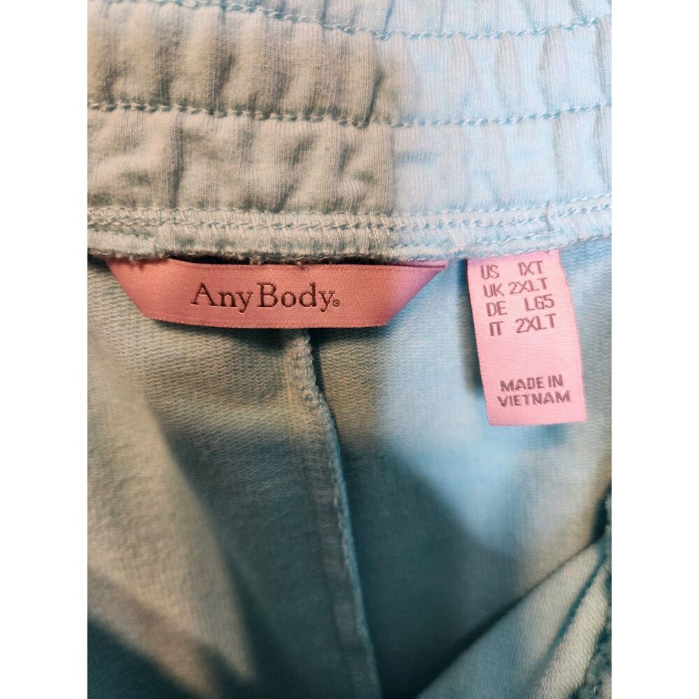 AnyBody Light Blue Lounge Pajama 2 piece Set Women's Size Top 2XL Bottom1XT - Picture 6 of 8